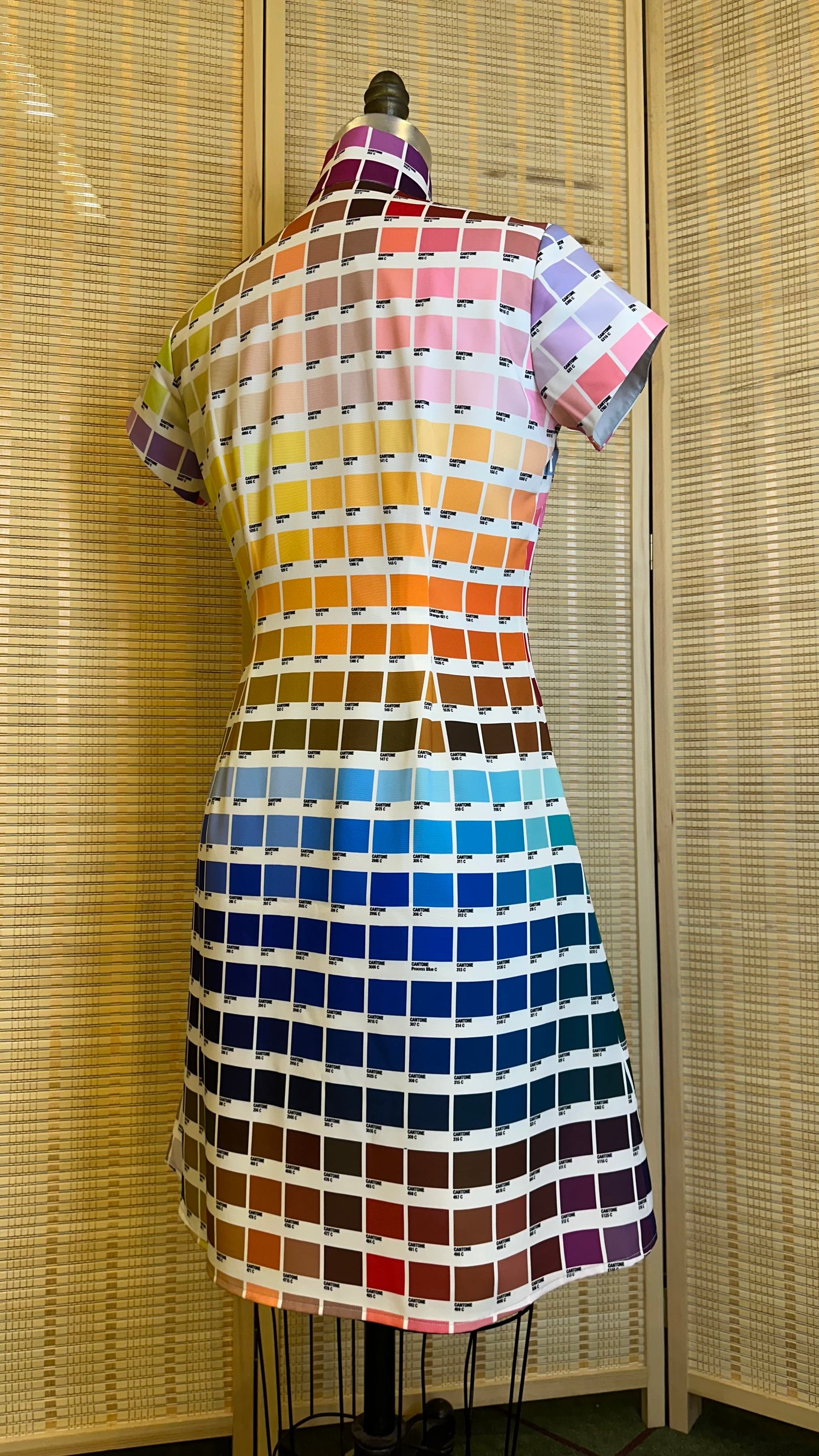🎨 Cantone Cheongsam A-Line - 企直啲 Stand Tall D