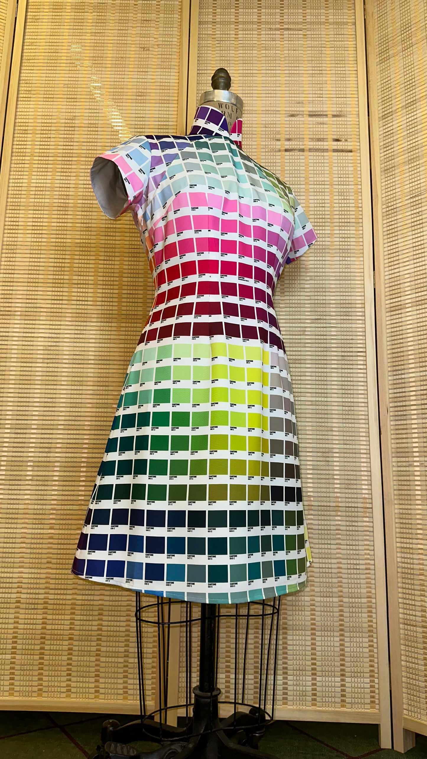 🎨 Cantone Cheongsam A-Line - 企直啲 Stand Tall D