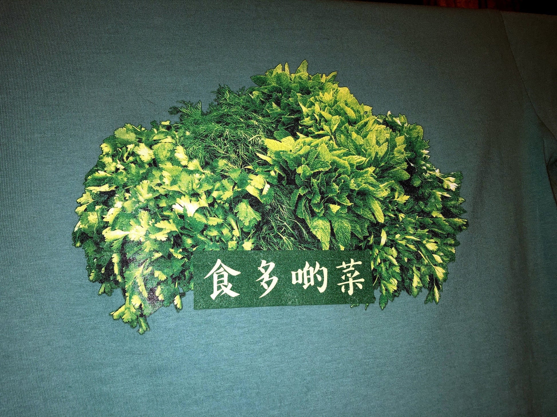 Eat more Veggie 食多啲菜 [Human T-Shirt]