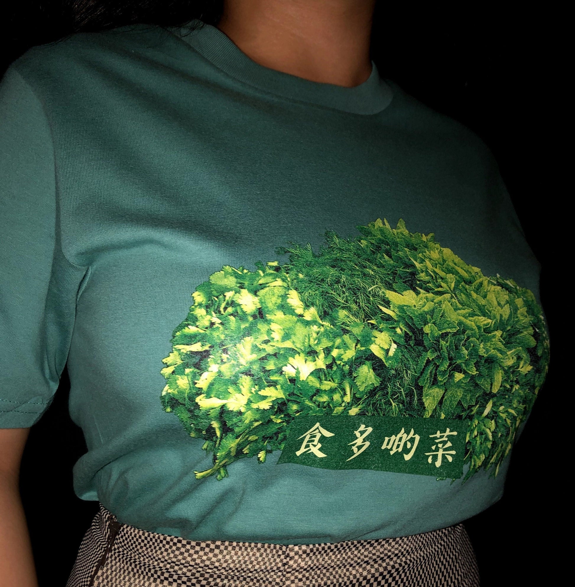 Eat more Veggie 食多啲菜 [Human T-Shirt]