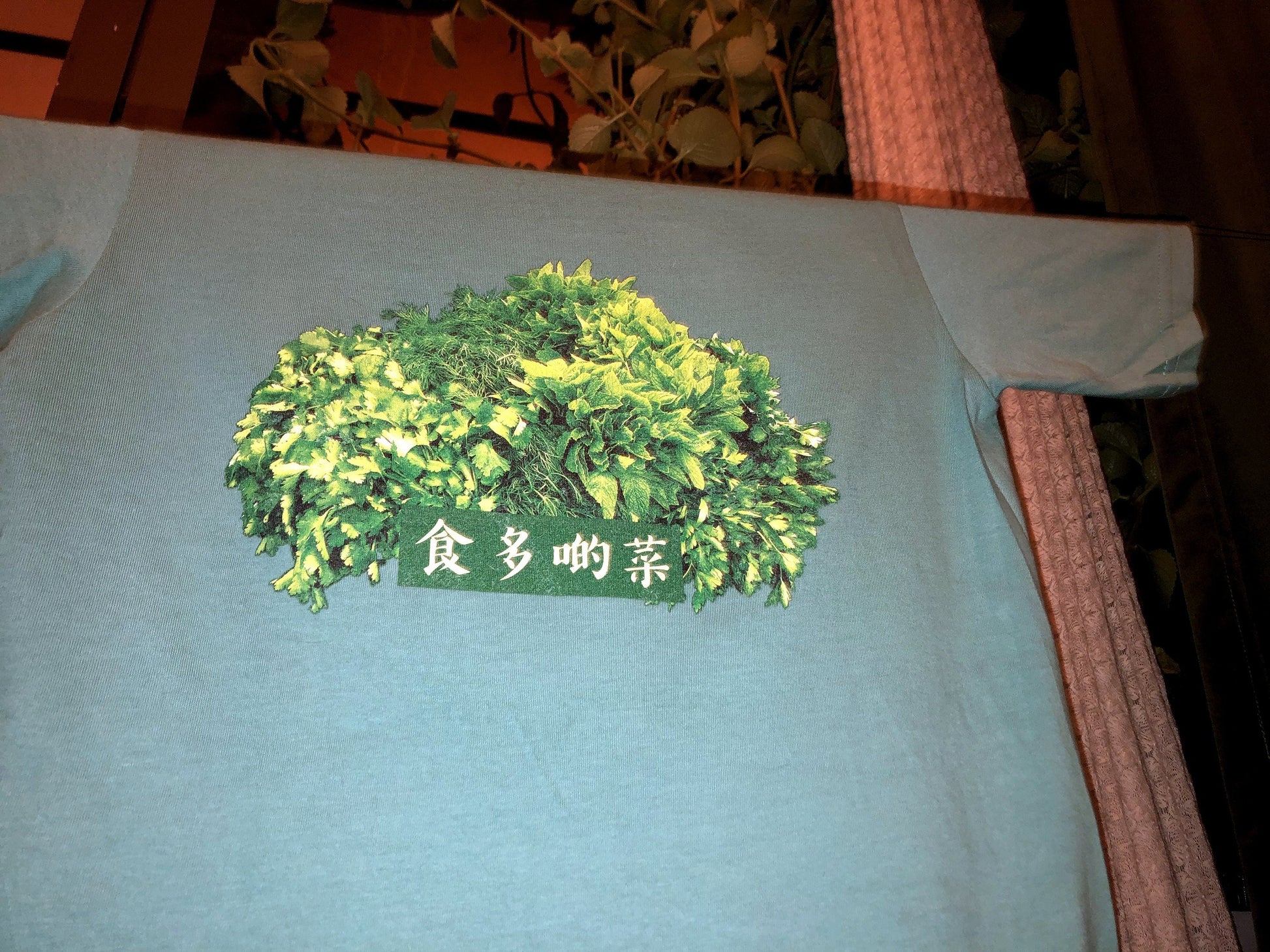 Eat more Veggie 食多啲菜 [Human T-Shirt]