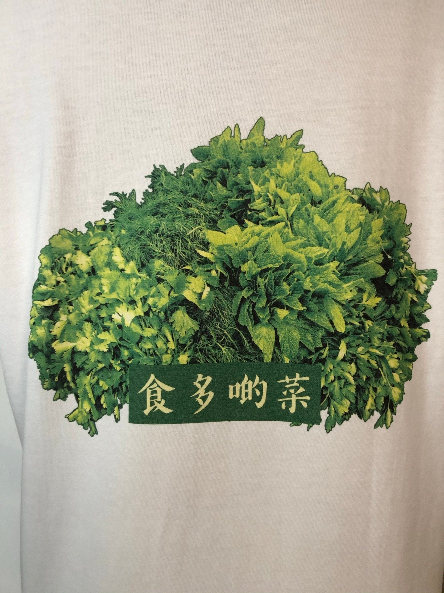 Eat more Veggie 食多啲菜 Tee [Human T-Shirt]