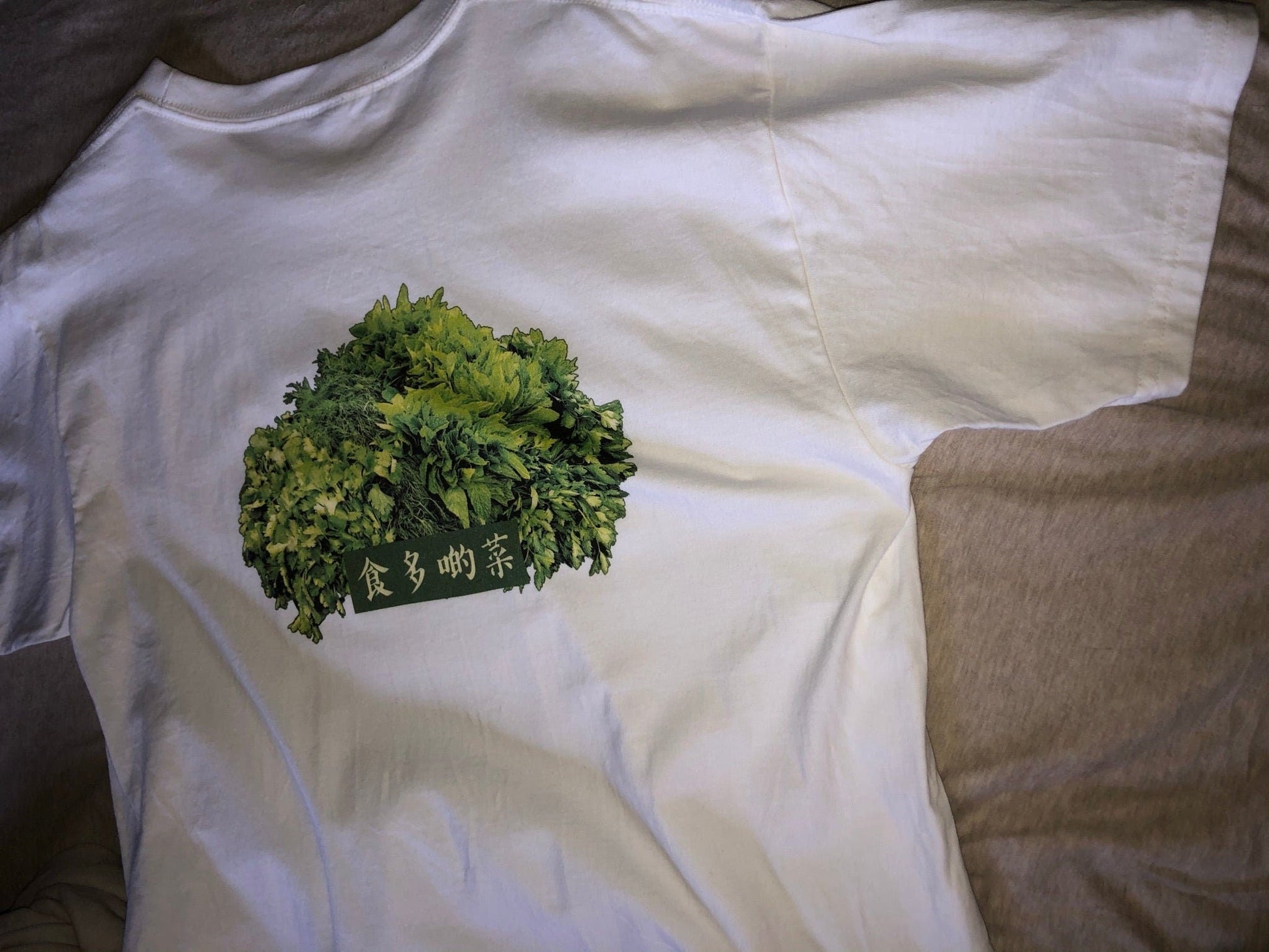 Eat more Veggie 食多啲菜 Tee [Human T-Shirt]